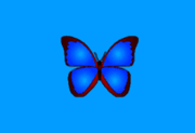 bkViewer (小巧精悍的数码照片浏览器) v8.2