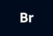 Adobe Bridge 2026(BR2026) v16.0.0.63