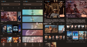 AfuseKt 网络视频播放器 v2.9.7