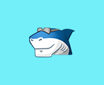 Shark007 Codecs v20.5.6 便携版|多媒体编解码器套件