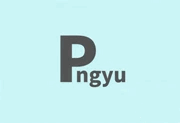 Pngyu v1.0.5 中文绿色版|PNG 图像批量压缩工具