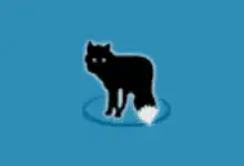 MetaFox v2.6.1.2 便携版|轻量视频转 MKV 神器