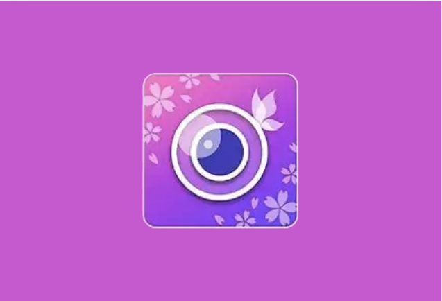 玩美相机 YouCam Perfect v6.21.1 解锁高级会员版