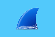 网络抓包工具 Wireshark v4.6.9 集成驱动库中文便携版